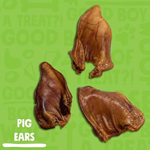 JollyBarks Premium 6 Inch Whole Pig Ears for Dogs, All Natural Dog Treats Pig Ears Dog Treats- Healthy Dog Treats for Medium Dogs and Small Dog Pig Ears Dog Chews, Non-GMO Pig Ear (12 Pack)