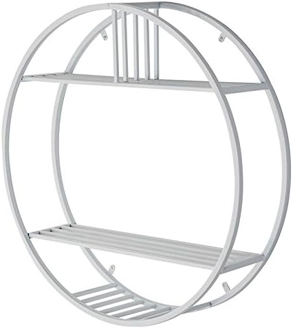 DHMHJH Nordic Minimalist Living Room Wall Hanging Wrought Iron Photo Frame Bookshelf Circular Partition Wall Display Stand (Color : 2 layers in white)