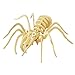 RuiyiF 3D Wooden Puzzles for Kids and Adults,4 Sets(Cricket+ Scorpion + Spider + Butterfly) DIY 3D Jigsaw Puzzles Assembly Model Kits Educational Toys Birthday Gifts-Insects