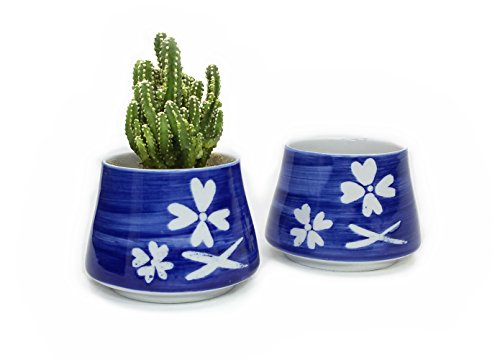 Goldblue Ceramic Small Succulent Pots Blue and White Hand Painted Ceramic Succulent Planter Pots Cactus Plant Pot Flower Pot Container Planter(Four leaf clover)