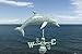 Good Directions Dolphin Weathervane, Blue Verde Copper