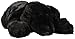 Folkmanis Black Labrador Puppy Puppet