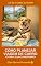 Livro Como Planejar Viagem de Carro com Cachorro: Guia Passo a Passo