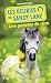 Les écuries de Sandy Lane, Tome 5 : Une ponette de rêve by 