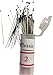Phusis Stainless Steel Insect Pins - Size #2 - Set of 100 - Includes Storage Tube - for Entomology, Dissection and Butterfly Collections (#2)…