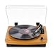 Musitrend LP 3-Speed Turntable with Built-in Stereo Speakers, Vintage Style Record Player Support Vinyl-to-MP3 Recording, RCA Output, Natural Wood