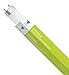 (Pack of 10) F21T5/830 21-Watt Straight T5 Fluorescent Tube Light Bulb, Warm ...