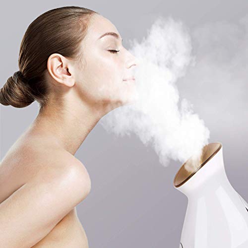 CXhome Home Facial Steamer Hot and Cold Face Steamer Nano Mist for Woman Home Spa Facial, Steamer for Face Humidifier for Moisturizing Deep Cleaning Pores Acne Blackheads