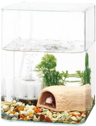 Amazon 水作 リトルアクアリウム ウーパールーパー飼育基本セット 水作 飼育ケース ケージ 通販