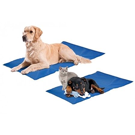 Aktiv Kühlkissen Fresk für Ihren Hund oder Katze funktioniert ohne vorkühlen Größe: S L: 50 cm B: 40 cm S blau Hundematte Küh
