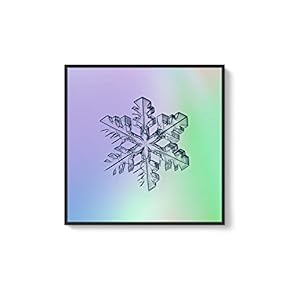 Framed Canvas Wall Art for Living Room, Bedroom Snowflake Theme Canvas Prints for Home Decoration Ready to Hang - 16x16 inches