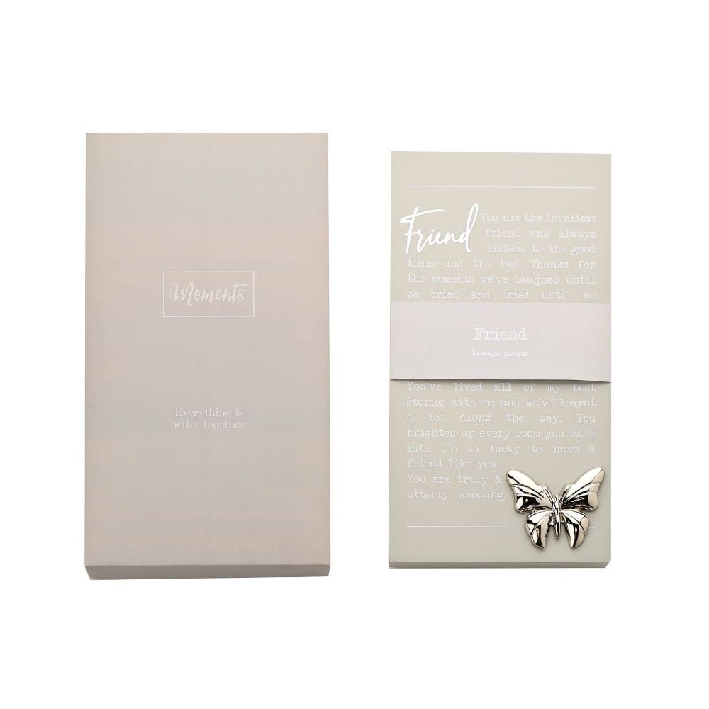 "Friend" Sentimental Moments Message Plaque Freestanding Or Hanging Gift MO115 MO115