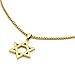 Mens Stainless Steel Gold Tone Star of David Medal Pendant 24