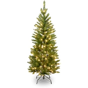 Watch The National Tree Streaming Sctv Watch The National Tree Streaming Sctv