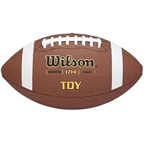 Wilson TDY Official Composite Football, age 11-14, Official