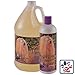 1 All Systems Super Cleaning and Conditioning pH Balanced Shampoo (Gallon)