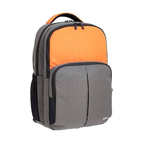 amazonbasics classic school backpack