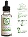 OZNaturals Hyaluronic Acid Serum for Face: Hyaluronic Facial Serum with Vitamin C and E – Antioxidant Moisturizer Serum to Hydrate, Plump Skin – Anti Aging and Brightening Skin Care Serums – 1 Fl Ozthumb 1