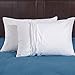 puredown Goose Feather Down Bed Pillows for Sleeping with 2 Outer Protectors, Hotel Standard/Queen Pillows Set of 2 with Cotton Fabric Cover (Pack of 2)