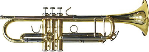 41zoCl-Fl1L.jpg