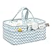 Blue Sky Storage Caddy - Chevron Print Body and Handles, Quatrefoil Print Lining, Dot Trim, Blue and White, Two Handles, 12 in x 6 in x 8 in