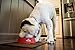 Nulo Grain-Free Turkey, Salmon, & Chickpeas Recipe Adult Wet Canned Dog Food, 13 Ounce, 12 Cans