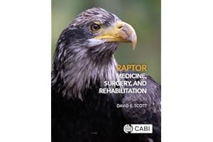 Raptor Medicine, Surgery, and Rehabilitation