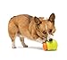 West Paw Zogoflex Toppl Interactive Treat Dispensing Dog Puzzle Play Toy, 100% Guaranteed Tough, It Floats!, Made in USA, Small, Granny Smith