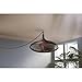 Allen + Roth 20-in Valdosta Dark Oil Rubbed Bronze Outdoor Ceiling Fan