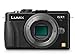 Panasonic Lumix DMC-GX1 16 MP Micro 4/3 Mirrorless Digital Camera with 3-Inch LCD Touch Screen Body Only (Black) (Discontinued by Manufacturer)