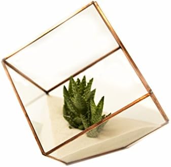 Glass Terrarium Cube with Rose Gold Trim by Oh So Relevant - Faceted Geometric Succulent Planter for Perfect Wedding