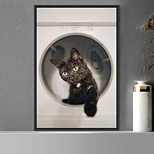 signwin Framed Canvas Wall Art Cat Animals Cat Chic Multicolor Photography Urban - 16x24 inches