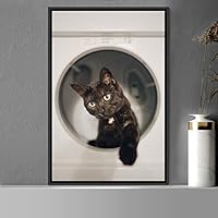 Framed Canvas Wall Art Cat Animals Cat Chic Multicolor Photography Urban - 16x24 inches