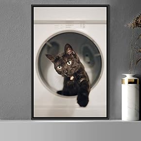 signwin Framed Canvas Wall Art Cat Animals Cat...