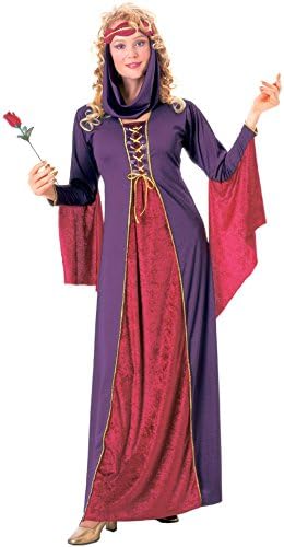 Gothic Princess Adult Womens Maid Marian Velvet Renaissance Costume