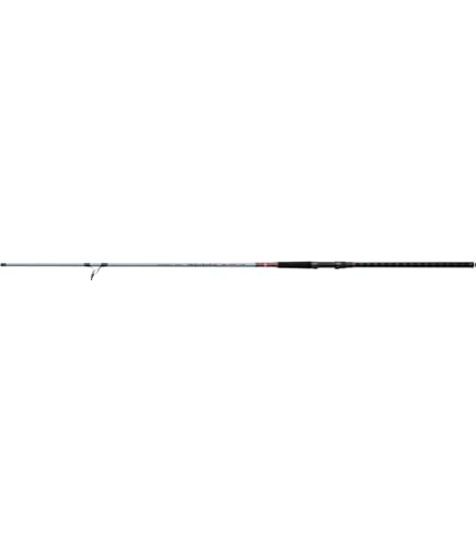 Amazon.com : Daiwa TD Surf Spinning Rod 9ft Medium Heavy 2 Piece