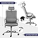 Ergonomic Office Chair Adjustable Headrest Mesh Office Chair Office Desk Chair Computer Task Chair (Light Gray)