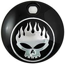 Black with Chrome Flame Skull FLT Fuel Tank Console Door