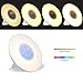 Wake-Up Light,TSTAR Sunrise Simulation Alarm Clock, Nature Night Light, 5 Colors Atmosphere Lamp,4 Brightness Bedside Lamp,Morning Wake-Up Alarm Light with Nature Sounds & FM Radio - Touch Control