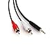 PASOW 3.5mm Stereo Male to 2RCA Male (Right and Left) RCA Audio Cable (30 Feet)