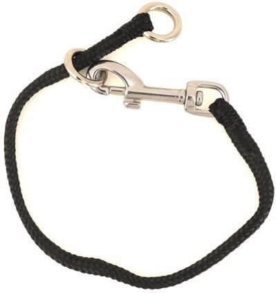 dominant dog leash