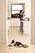 Dreambaby Chelsea Extra-Tall & Wide Auto-Close Security Baby Safety Gate-White-Model F191W