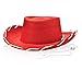 3 Children's Woody Felt Cowboy Hats in Pink, Red and Brown Toy Story Hat