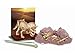 Kidz lab Triceratops Dig a Dino Excavation Kit