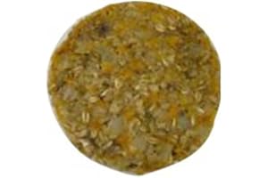 Morningstar Farms Garden Veggie Burgers, 9.5 Ounce -- 8 per case.