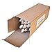 TropicaZona Branch & Twig Assorted Colored, Approx. 5 Inches Long, 12-Pack, Decorative, Novelty Gift Product