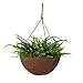Hanging Flower Pots for Outdoor Plants, Garden Hanging Planters Set of 2(13.2 Inch, Terracotta Color)