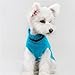 NACOCO Pet Clothes The Owl Sweater The Cat Dog Sweater Christmas Pet Jacket Dog Apparel (Blue,M)