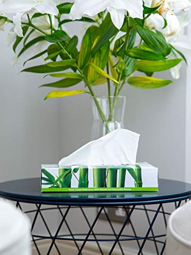 The Cheeky Panda Bamboe gezichtsweefsels Box Multipack | 12 dozen (960 weefsels) | Zachte, sterke en duurzame weefsels - Afbeelding 3