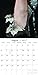 2017 Monthly Shoes Wall Calendar - Beautiful Photographs of Glamorous Stylish Runway Fashion Pumps, High Heels, & Shoes - 16 Month Calendar, Multicolor, 12